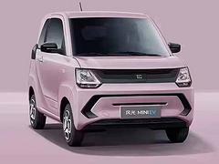 精致糖果-风光MINI EV