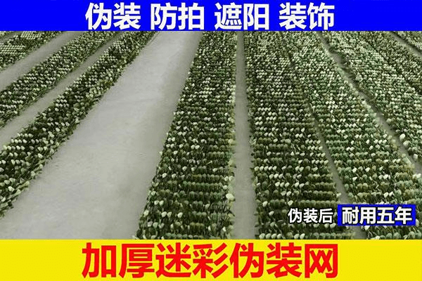 伪装网系列