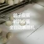 皮蛋鹌鹑皮蛋鸽子皮蛋裹腊机