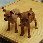 平顶山【十年老店】常年繁殖优质血统小鹿犬幼犬