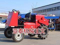甘蔗削叶机 甘蔗脱叶机