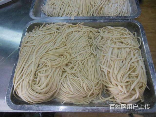 周口哪里教学正宗手工面 鲜面条 饺子皮技术