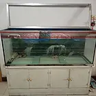 1米5的 鱼缸。12个厚的玻璃。带一个柜子。