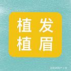 乾安植眉培训学校排名前三