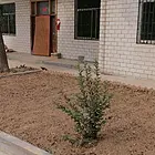 可以做考研体育馆农家院共享厨房菜园