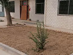可以做考研体育馆农家院共享厨房菜园