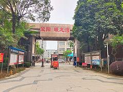 大化镇南曦龙湾两房出售只要20万