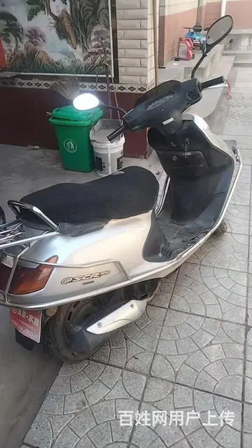 出售极品五羊公主的图片