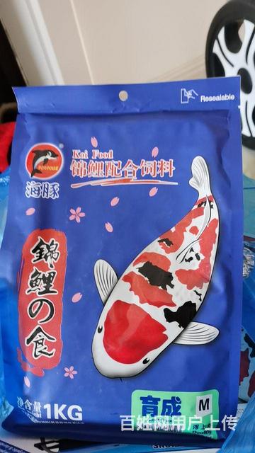 锦鲤增体增色鱼食的图片