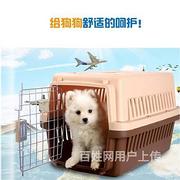修武宠物托运猫狗空运陆运邮寄全程视频