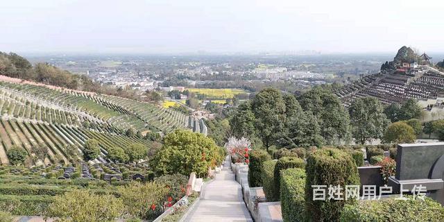 服务内容 墓地 服务范围 武侯锦江都江堰 所在地 蒲江大兴九仙山
