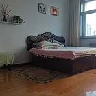 山中街小区 普通住宅 中等装修一室一厅500/月押一付一