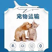 驻马店上蔡宠物托运 （猫狗活体运输）宠物快递至全国