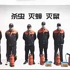 专业四害消杀除蟑螂除蚂蚁除老鼠除百虫 根除干净
