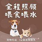 信阳罗山正规宠物托运公司宠物托运价格咨询宠物托运电话