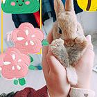 萌宠可爱的小兔子。