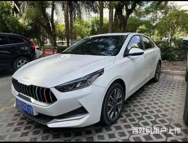 起亚K3 2019款 K3 PHEV 1.6 双离合 舒适版的图片