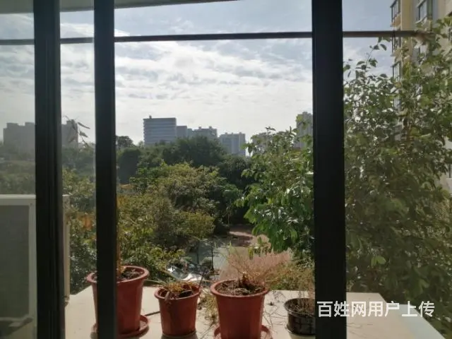 四川路白金瀚宫二期的图片