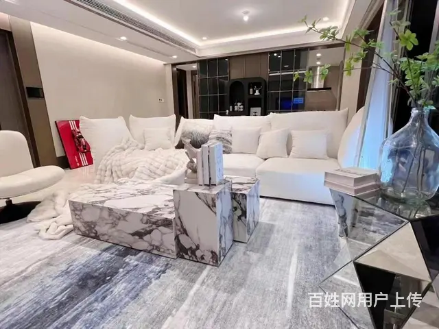 东辰雅园 2室2厅1卫 配套齐全 南北通透 精装修 拎包入住的图片