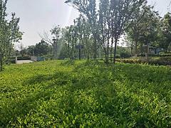 玉滨家园 普通住宅 毛坯房