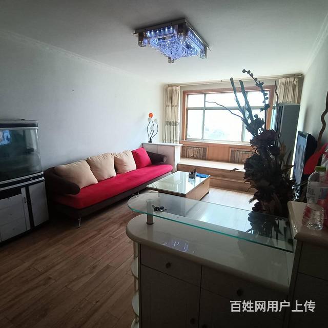 区政府对面电业小区二室一厅出粗的图片
