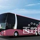 胶州到湛江市直达客车汽车几点发车宠物托运