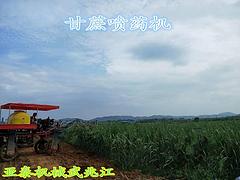 钦州农补32马力四轮喷药机 轮距可调打药机wzj