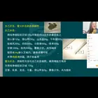 蜜蜂  蜂群旧箱 诱蜂桶