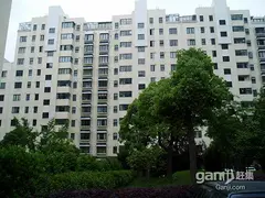 月亮湾,3+1小户型现房,70年可落户住宅双房朝南