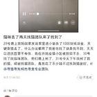 寻猫团队靠谱吗，找猫团队有用吗，寻猫团队有用吗