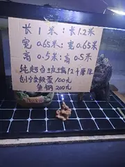超白鱼缸200元一个。1m乘0.65。