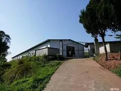 隆昌双凤太平养殖厂出租