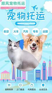 织金县到全国）宠物托运（猫狗）邮寄快递（宠物活体运输