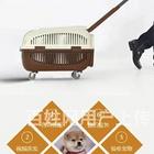 【同城推荐】商丘宁陵靠谱犬舍售卖高加索犬 纯种健康
