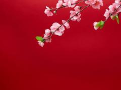 长安 逸动 2014款 1.6 手动 豪华型