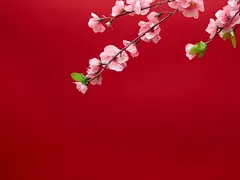 长安 逸动 2014款 1.6 手动 豪华型