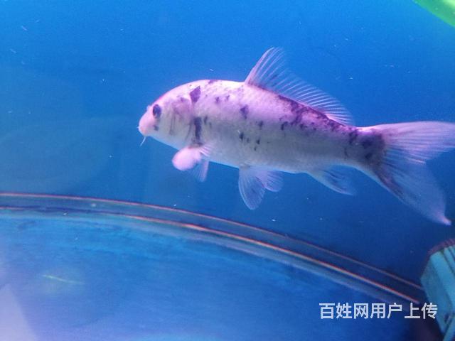 喜欢的联系的图片