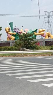 大蒜播种机转让