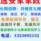 保洁 开荒 擦玻璃 清洗油烟机 清洗外墙地毯沙发等
