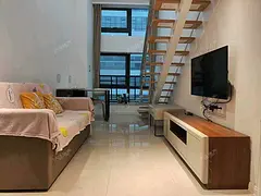 海陆国际3号地 公寓1厅 精装修