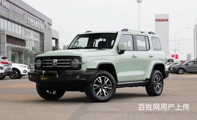 全新坦克300出售的图片
