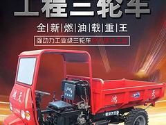 农用柴油三轮车工程自卸爬山虎后翻斗五征同款金华