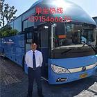梅州蕉岭宠物托运（猫狗）邮寄速运空运 （2022今日 梅州蕉