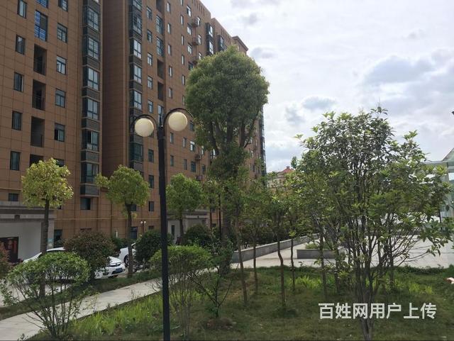 羊山百合家园，就在恒大名都旁，毛坯三房 仅售95万的图片