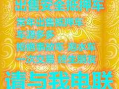 新乡哪里有出售抵押车的