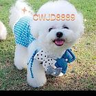 牧羊犬