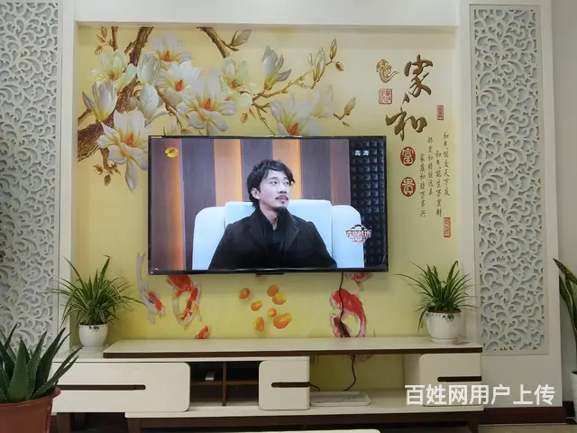 丽都阳光花园 普通住宅2厅 豪华装修的图片