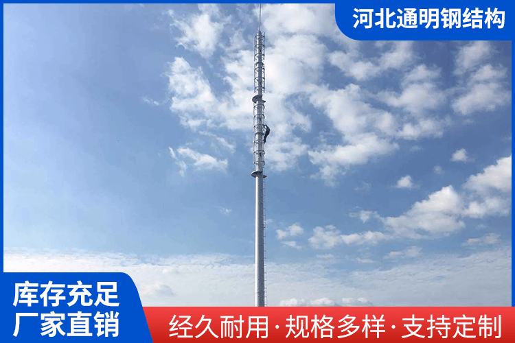 避雷针厂家