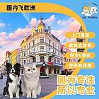 岱山宠物托运{猫狗长途搬家}活体快速邮寄2024安全快捷全国