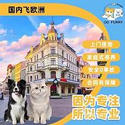 大冶宠物托运{猫狗长途搬家}活体快速邮寄2024安全高效全国